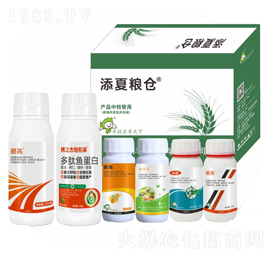 ļZ}(cng)ʮأ-S՘(l)