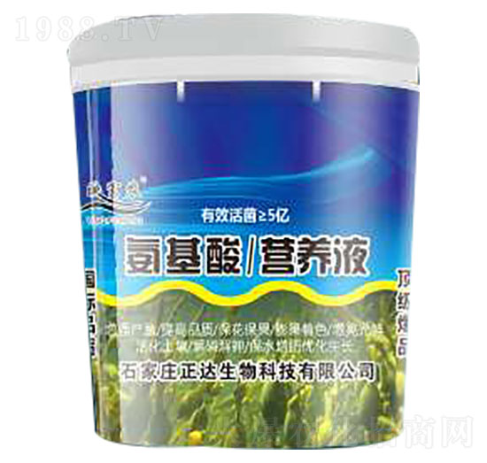 IB(yng)Һ-ӳr(nng)-_