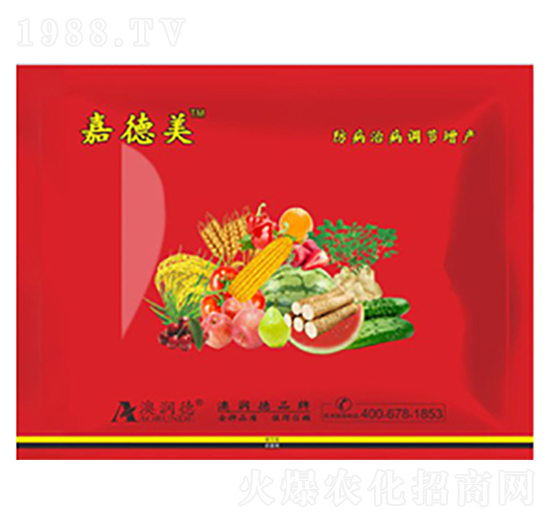 a(chn)IB(yng)ײ ε ĝ