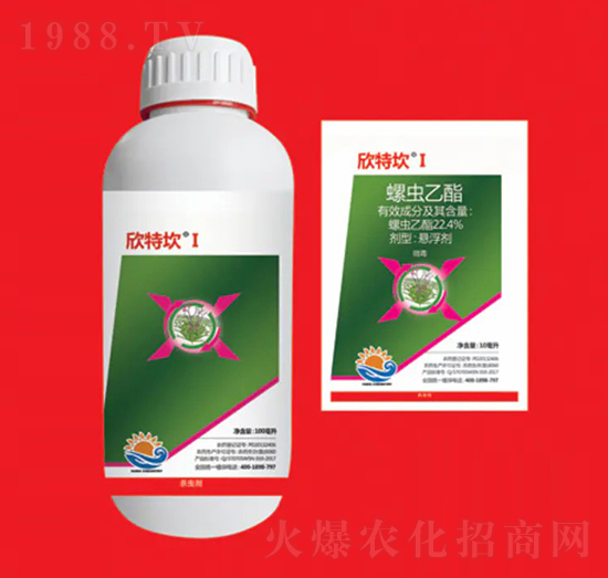 22.4%x(chng) ؿI ȽW(xu)