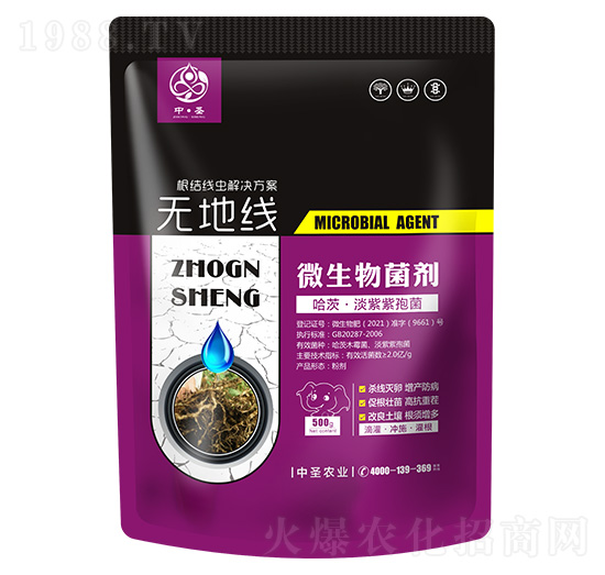 ġ߾-o(w)ؾ-ʥr(nng)I(y)