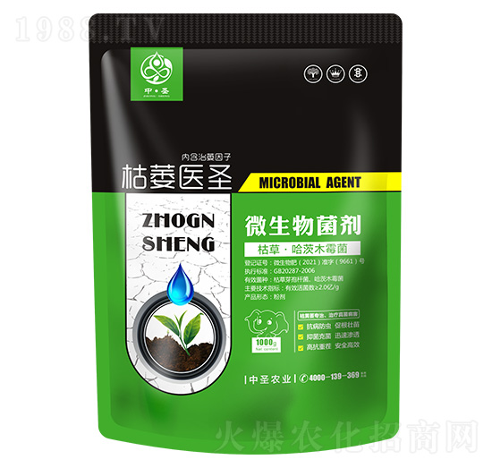 ݲݡľù-ήt(y)ʥ-ʥrI(y)