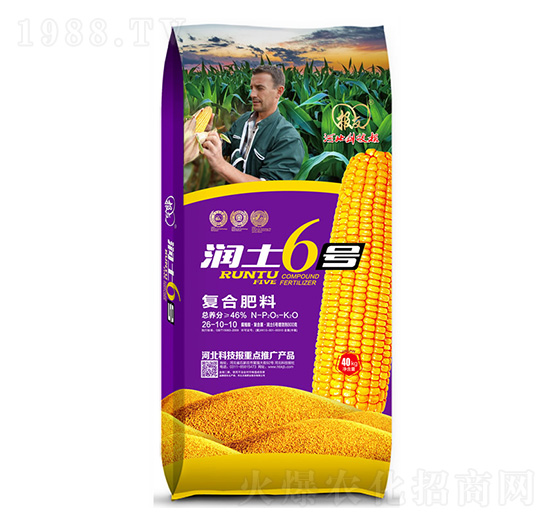 (f)Ϸ26-10-10 6̖ 