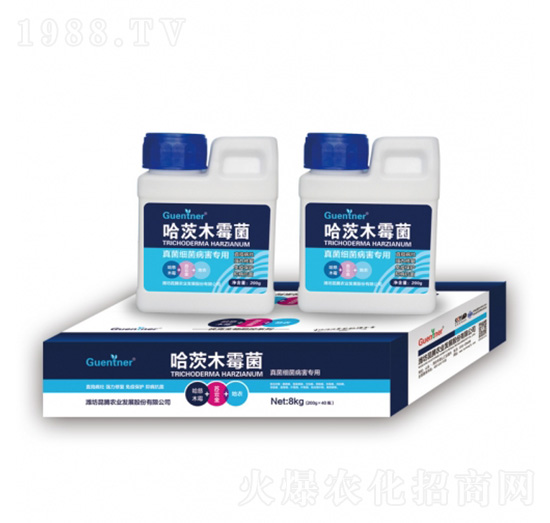 (x)ùľù-vr(nng)I(y)