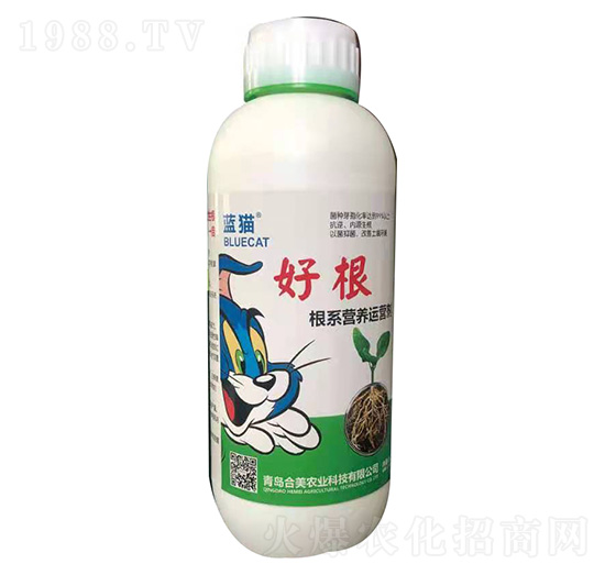 ϵI(yng)B(yng)\(yn)I(yng)-ø-{(ln)؈-r(nng)I(y)