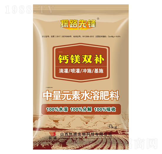 }Vpa-̽·h-PʢʘI(y)