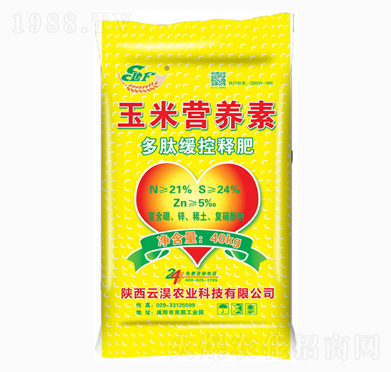 נIB(yng)-ʩRS-ƜBrI(y)