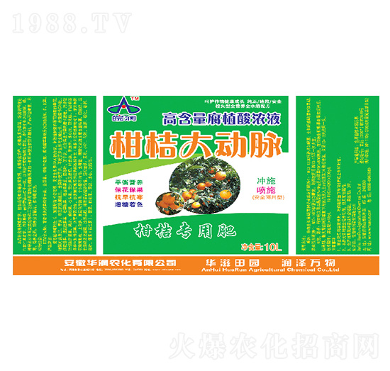 ߺֲҺ-̽۴(dng)}-A(rn)r(nng)