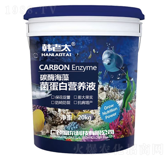 ̼øנI(yng)B(yng)Һ-n̫-Ƽ