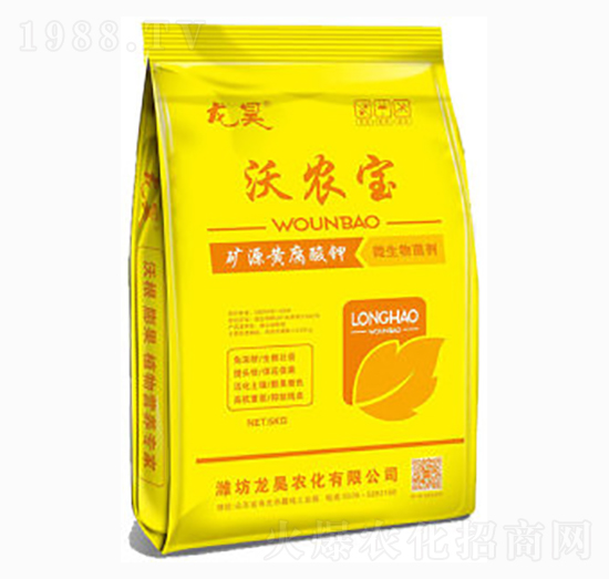 VԴS-r(nng)-껷ʘI(y)