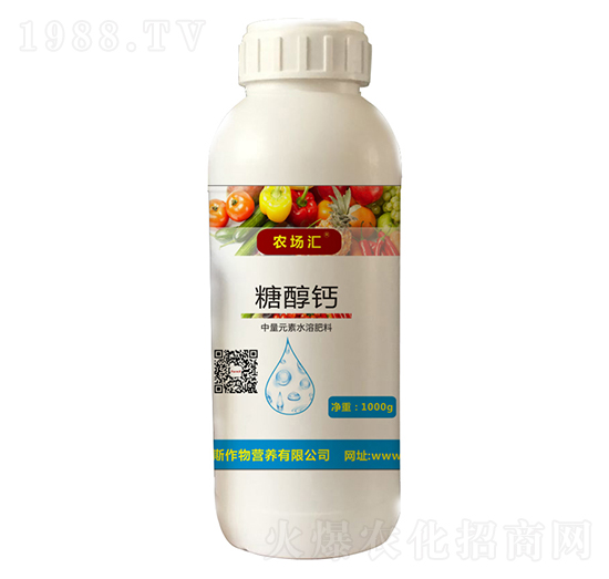 1000gǴ}-r(nng)(chng)R-˹