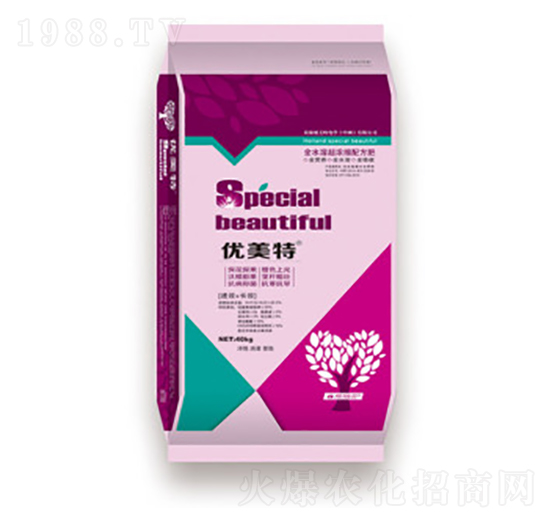 Ll(f)-(yu)-r(nng)I(y)