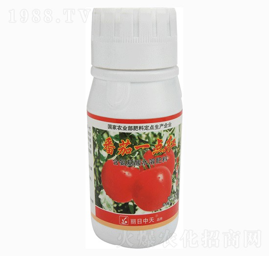 ьúˮܷ-һc(din)t-ʘI(y)