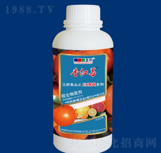 ΢-tT-{(ln)r(nng)I(y)