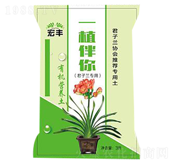 m(zhun)üͥ@ˇЙC(j)I(yng)B(yng)-һֲ-S