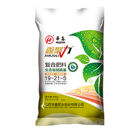 ͺϷ19-21-5-ξ-AηʘI(y)