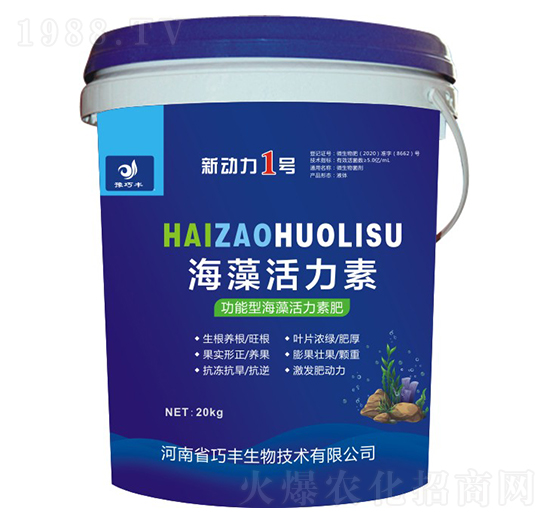 ͺ-(dng)1̖(ho)-ԥS