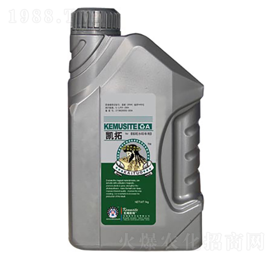 ˮ(zhun)Ì(zhun)~-P-ķ˹