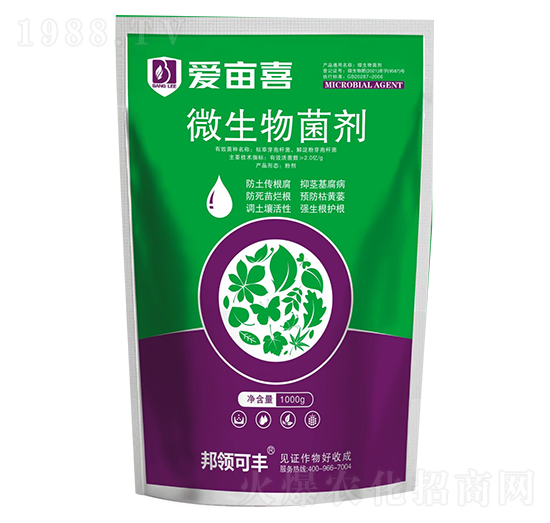 ΢-(i)ϲ-I(lng)r(nng)I(y)