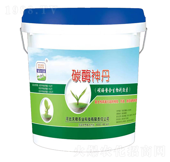 ̼ø̼-̼ø-f@-Zr(nng)I(y)