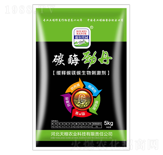 5kg̼øŵ-f@-Zr(nng)I(y)