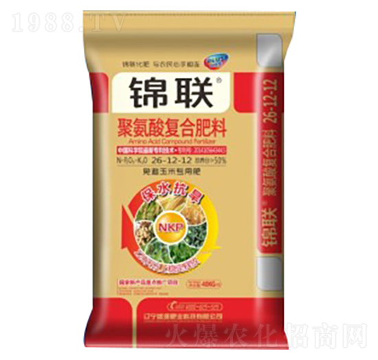 ׌(zhun)þ۰(f)Ϸ26-12-12-ʢԴʘI(y)