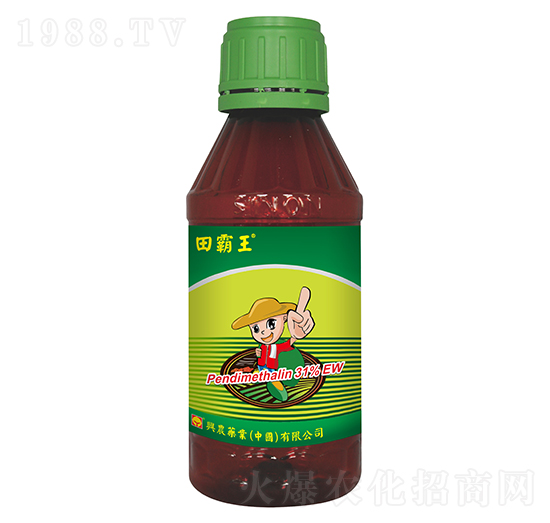 31%`ˮ鄩--dr(nng)ˎI(y)