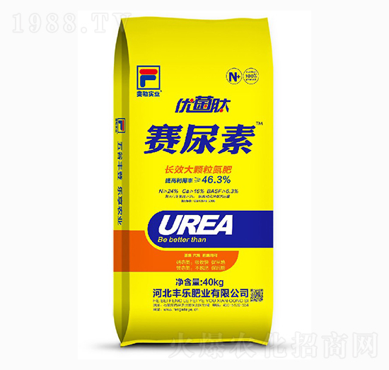 L(zhng)Чw-ِ-SʘI(y)