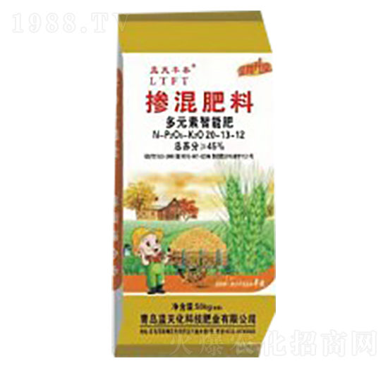 20-13-12-Ԫܷ-{(ln)S̩