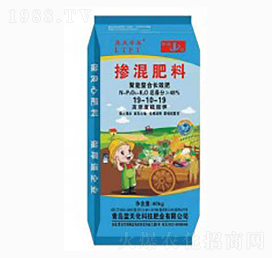 LЧ-(f)Ϸ19-10-19-{(ln)S̩