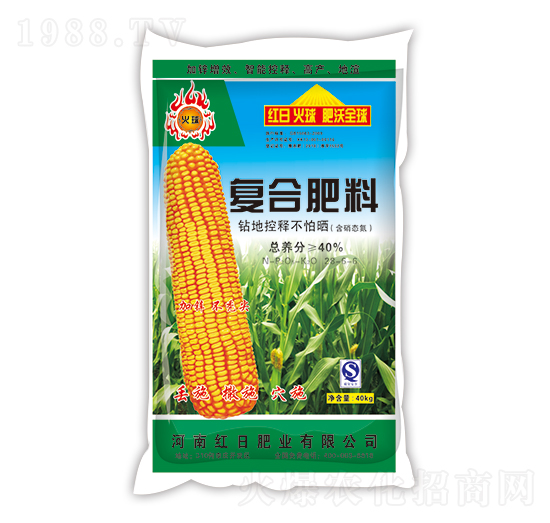 ͺϷ28-6-6-tշʘI(y)