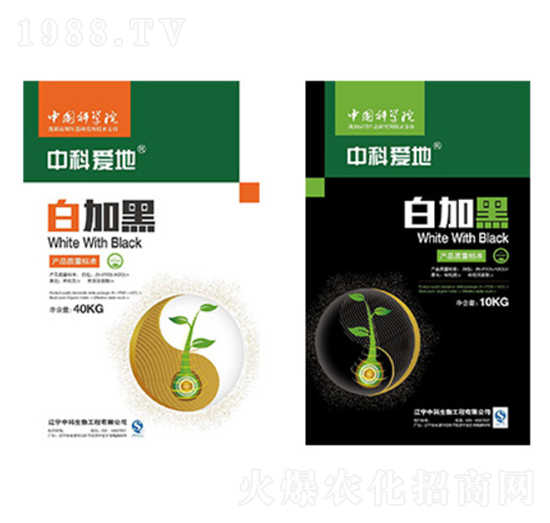 ׼Ӻϵײͷ-пƐ(i)-п