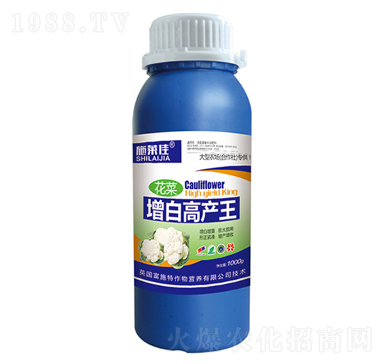 1000˻׸߮a(chn)-ʩR-ӯSr(nng)I(y)