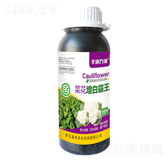 ˻װ-STf(wn)-ӯSr(nng)I(y)