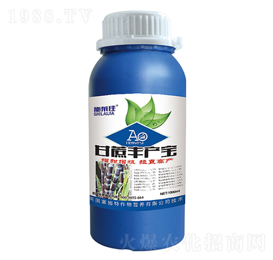 Sa(chn)-ʩR-ӯSr(nng)I(y)