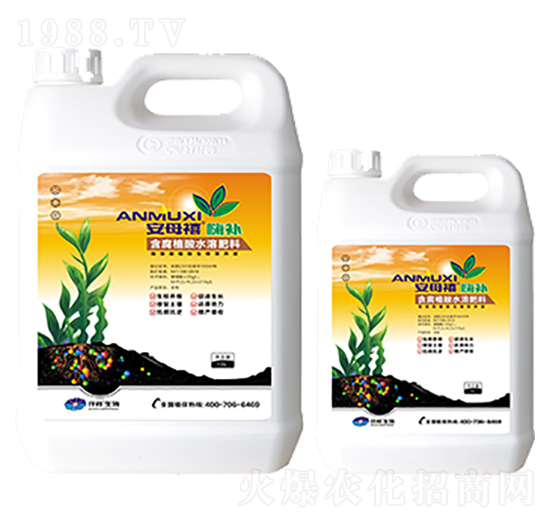 ͠IB(yng)Һ-ĸa(b)-Ǫ