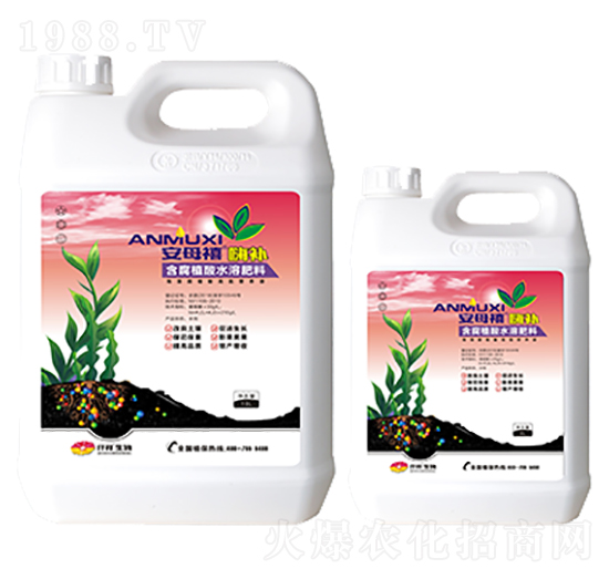 ߵ͠IB(yng)Һ-ĸa-Ǫ