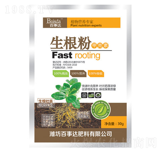 ֲI(yng)B(yng)--_(d)