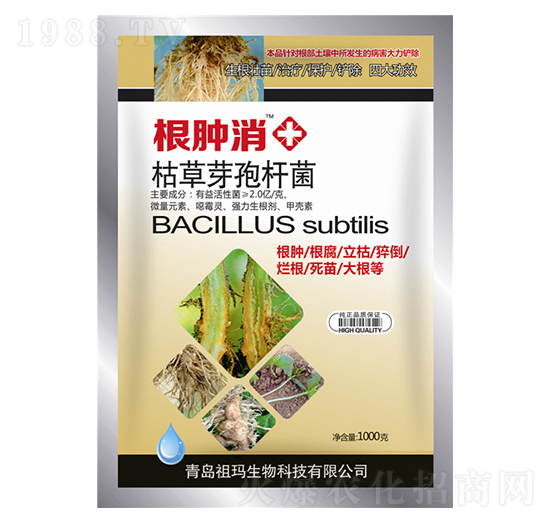 ݲѿߗU-[-欔-ʰl(f)