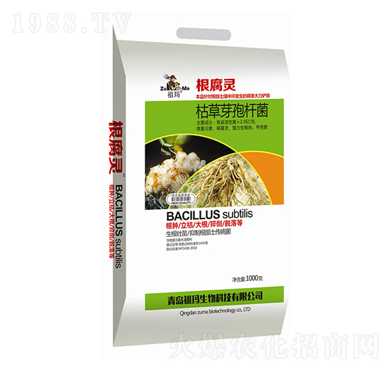 ݲѿߗU-`-欔-ʰl(f)