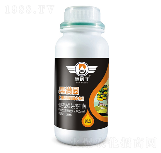 M(mn)@(sh)@؂䣩-ʩS