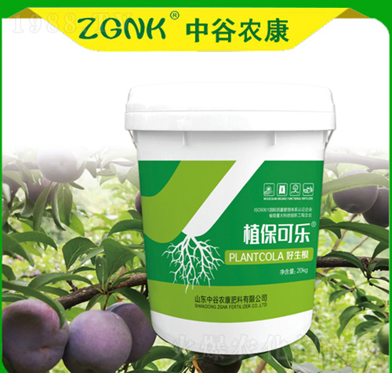 -ֲɘ(l)-йr(nng)