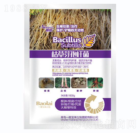 1000gݲѿߗU-ǃ(yu)-һ