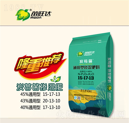 ̿ݮ͓ͨ15-17-13-_rI(y)