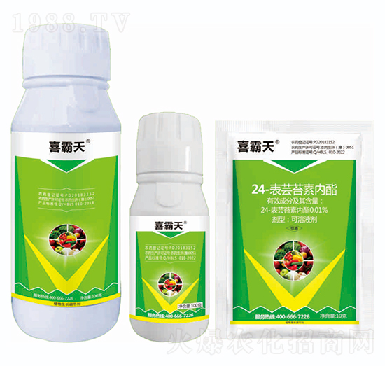 24-|̦؃(ni)֬-ϲ-{Ʒ