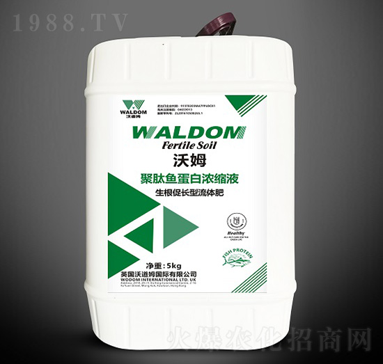 L(zhng);~(y)םsҺ-ķ-ֵķ