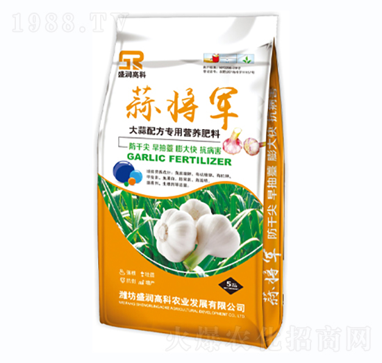 ䷽àIB(yng)-⌢܊-ʢ߿