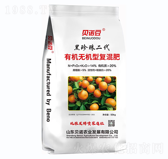 ЙC(j)oC(j)͏(f)--ؐZ-ؐZ