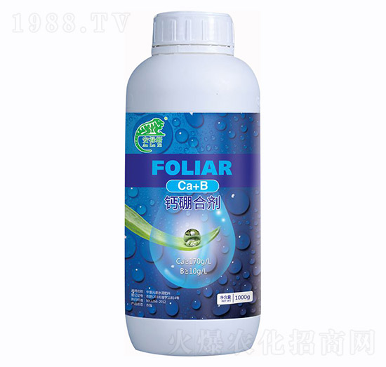 ᡤ}τ-f(wn)r(nng)I(y)