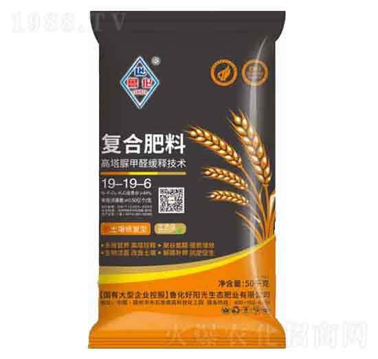 50kgȩ(f)Ϸ19-19-6-ꖹ